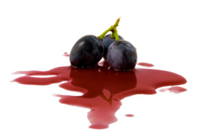 berry grape in a wine puddle